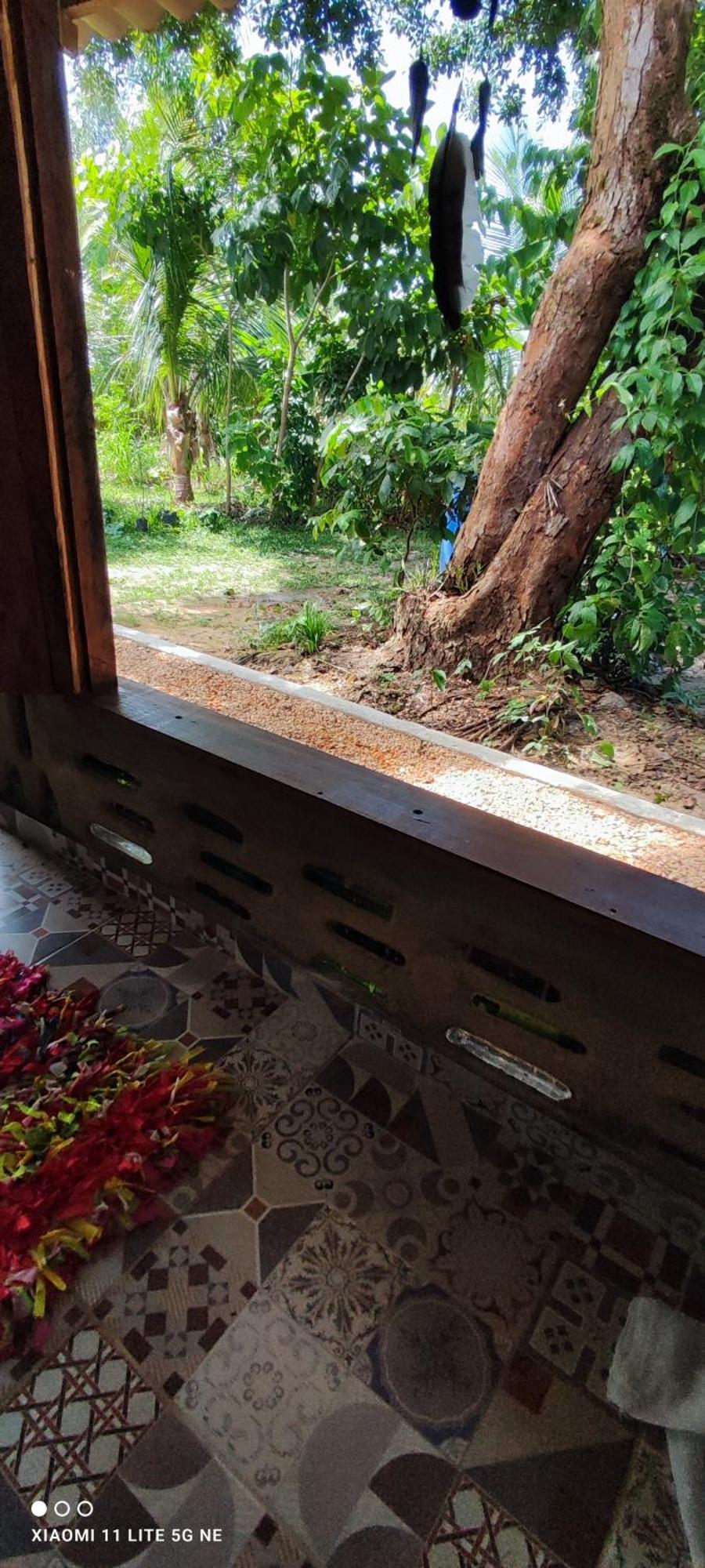 Eco Hostel Lunar Soure Εξωτερικό φωτογραφία