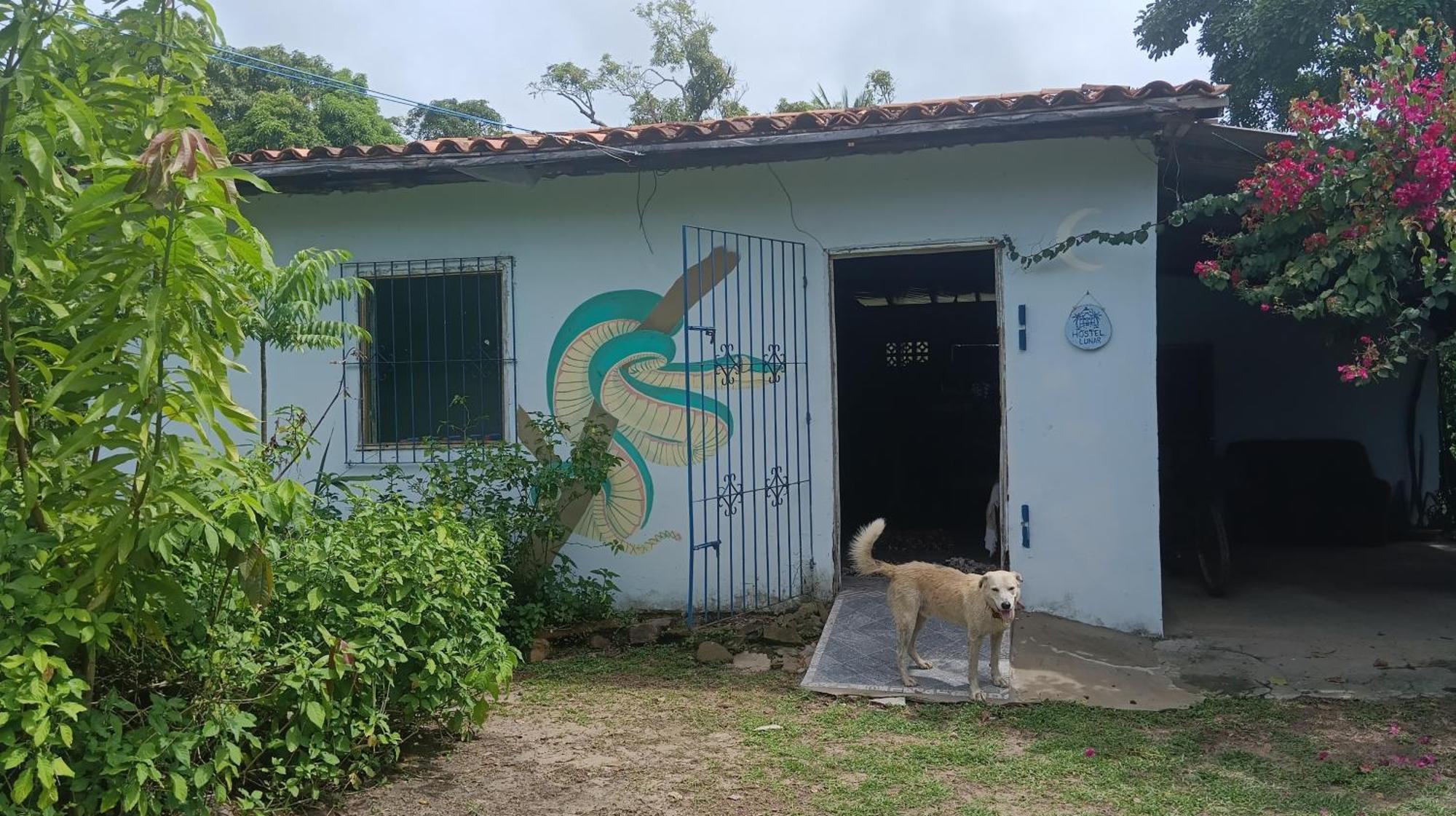 Eco Hostel Lunar Soure Εξωτερικό φωτογραφία