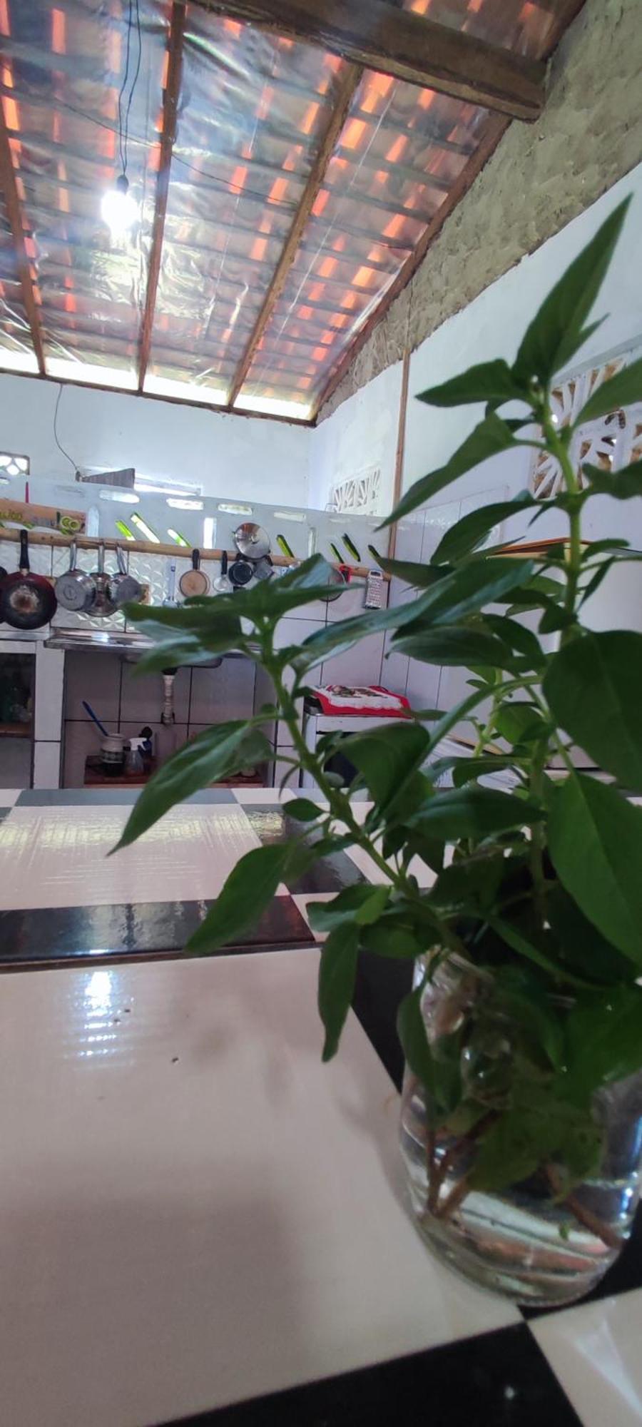 Eco Hostel Lunar Soure Εξωτερικό φωτογραφία